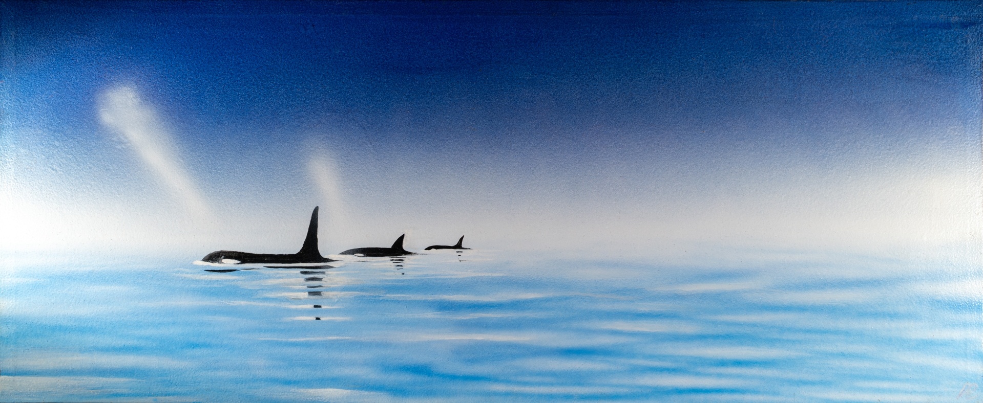 orca in the mist
